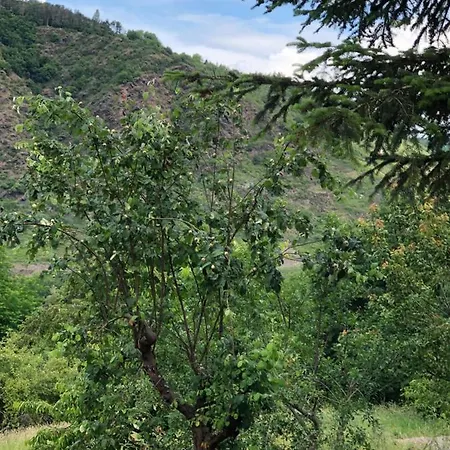 Apartamento Zenzen *