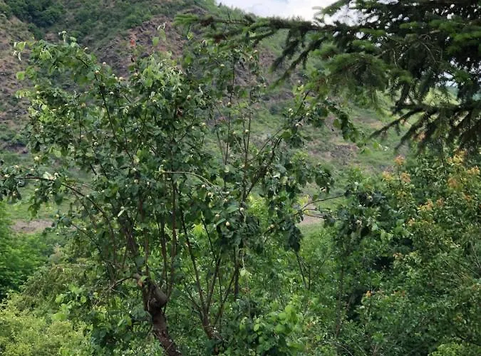 Apartamento Zenzen *